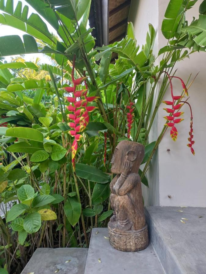 Waiara Village Guesthouse Maumere Exterior photo